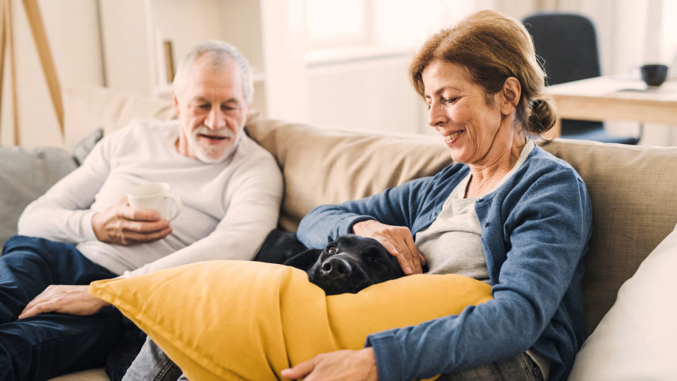 Senior couple sitting on a sofa indoors with a pet dog